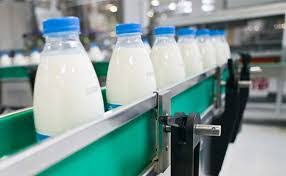 فروش شیر صنعتی پاستوریزه